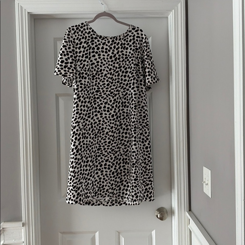 Ann Taylor printed shift dress